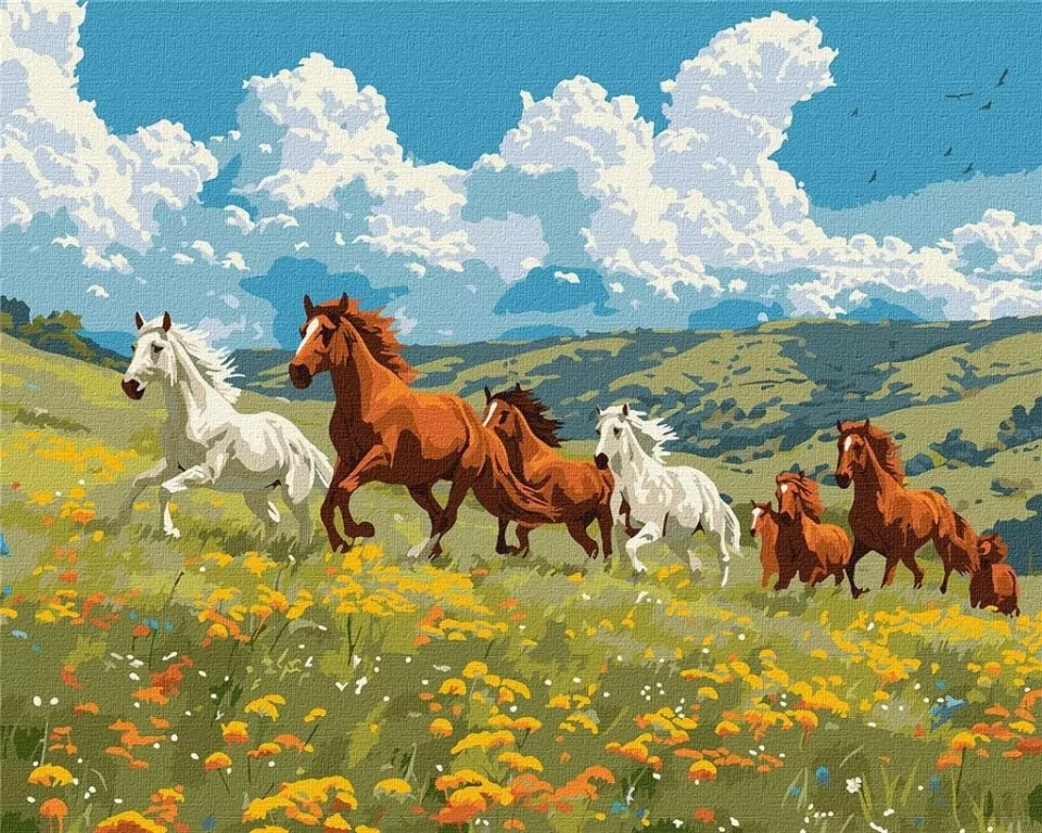 Malowanie po numerach. Siła i wdzięk 40x50cm - tantis.pl