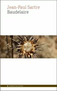 Baudelaire - tantis.pl