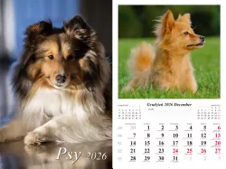 Kalendarz 2026 ścienny Psy
