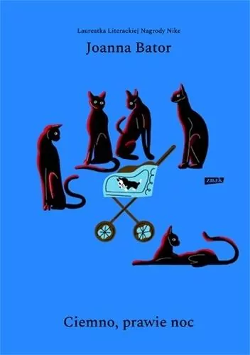 Ciemno, prawie noc - tantis.pl