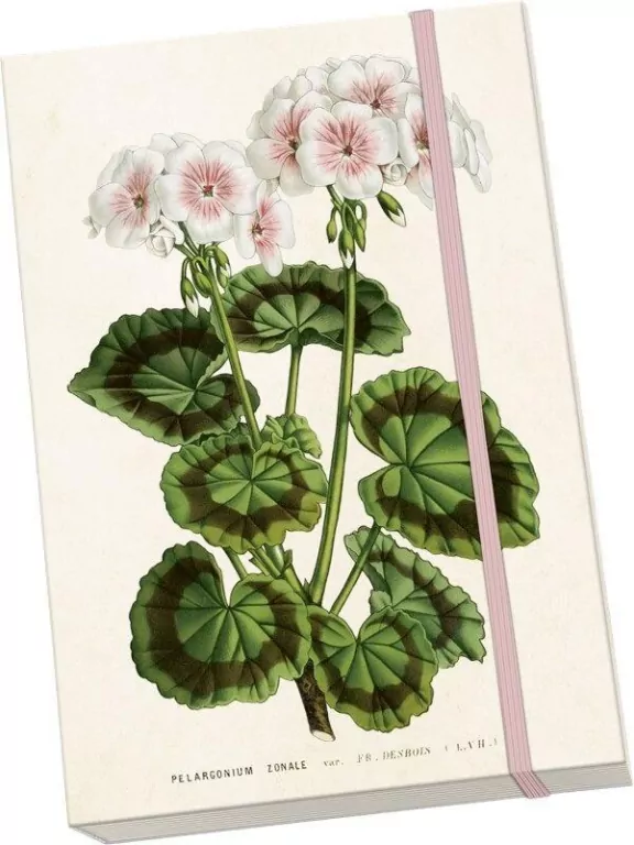 Notatnik ozdobny A5 STNOTE 148 Biała pelargonia - tantis.pl