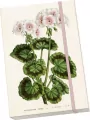 Notatnik ozdobny A5 STNOTE 148 Biała pelargonia - tantis.pl
