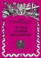 19 Pułk Ułanów Wołyńskich Zarys Historii Wojennej Pułków Polskich w Kampanii Wrześniowej - tantis.pl