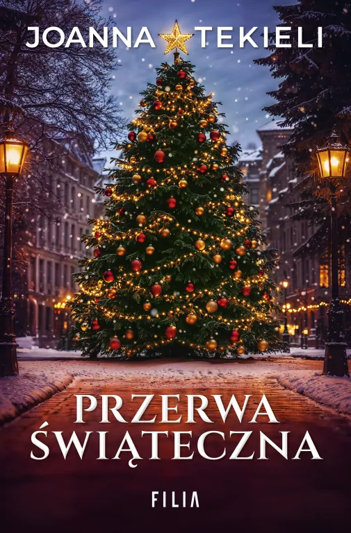 Przerwa świąteczna - tantis.pl