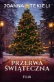 Przerwa świąteczna - tantis.pl