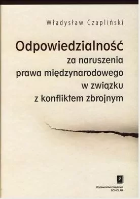 Odpowiedzialność za naruszenia prawa... - tantis.pl