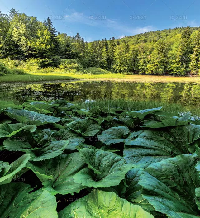 Kalendarz 2026 reklamowy Polska magiczna - tantis.pl