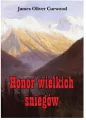 Honor wielkich śniegów - tantis.pl