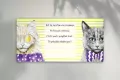 Karnet KW Kot seledyn - tantis.pl