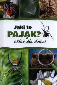 Jaki to pająk? Atlas dla dzieci - tantis.pl