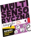 Multisensoryczna kaligrafia. Litery pisane - tantis.pl