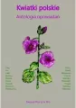 Kwiatki polskie. Antologia opowiadań - tantis.pl