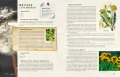 Dzika kuchnia - tantis.pl