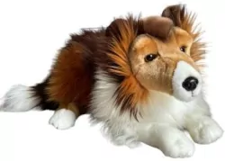 Owczarek szkocki 61cm