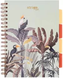 Kołozeszyt Pads B5/100K kratka Afryka pastel ziel