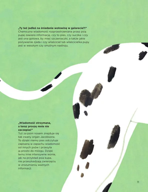 Dlaczego psy się obwąchują? - tantis.pl