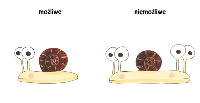 Pomelo i przeciwieństwa - tantis.pl