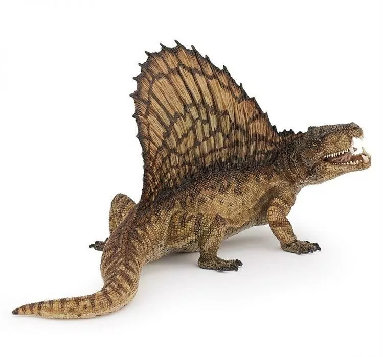 Dimetrodon - tantis.pl