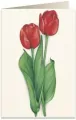 Karnet B6 + koperta: Czerwone tulipany - tantis.pl