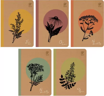 Zeszyt A5/80K linia By Nature. Herbs
