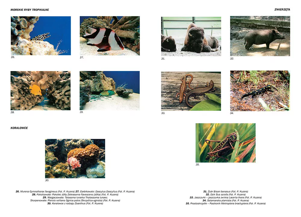 Encyklopedia szkolna. Biologia - tantis.pl