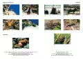 Encyklopedia szkolna. Biologia - tantis.pl