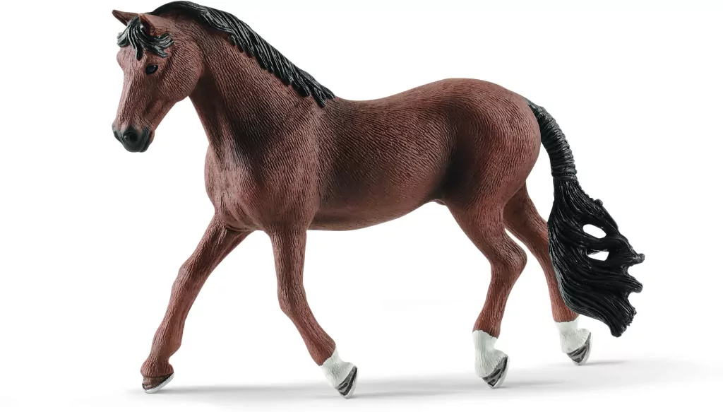 Wałach Trakehner. Horse Club - tantis.pl