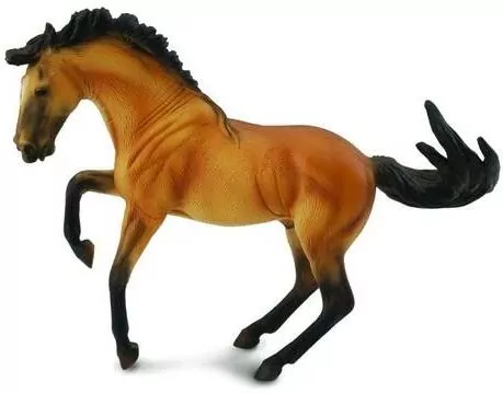 Ogier lusitano buckskin XL - tantis.pl