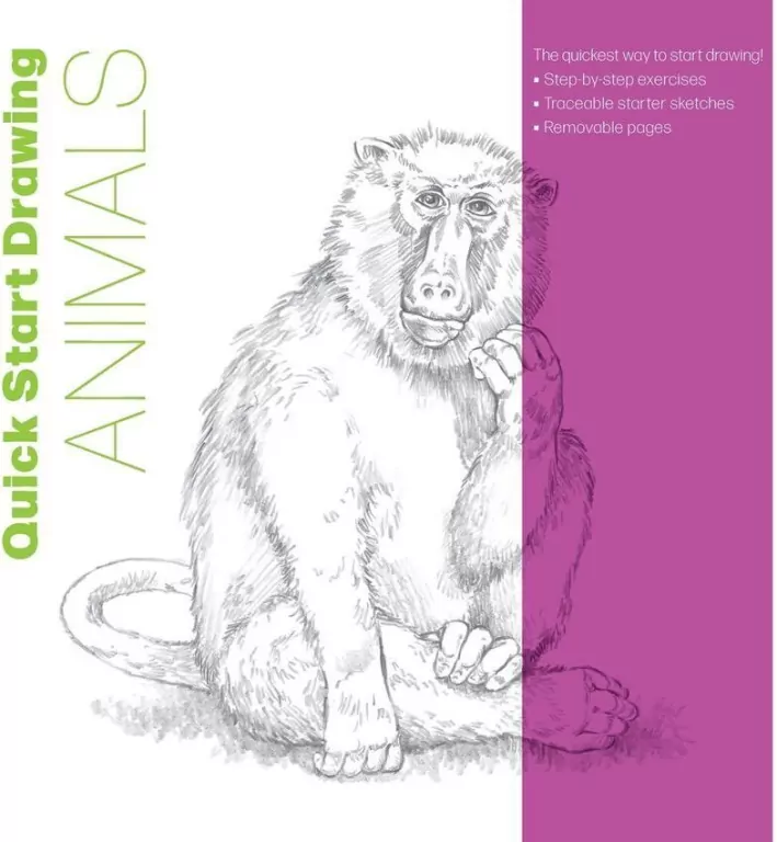 Quick Start Drawing Animals - tantis.pl
