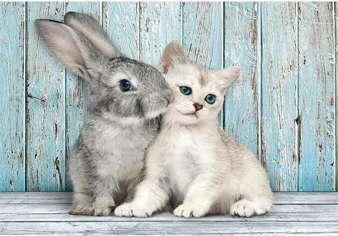 Puzzle 500. Compact. Cat & Bunny. 35539 - tantis.pl