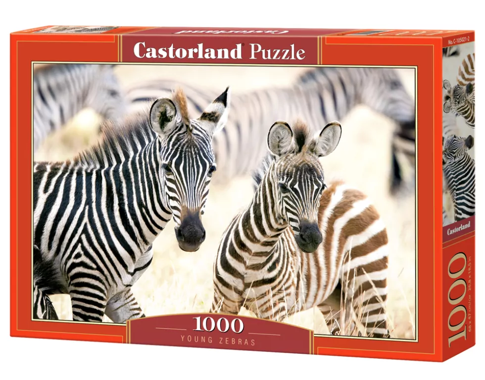 Puzzle 1000. Young Zebras - tantis.pl
