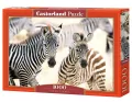 Puzzle 1000. Young Zebras - tantis.pl