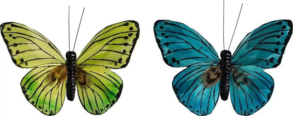 Motyle z klipsem 2szt - tantis.pl