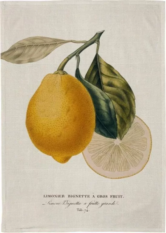 Ręcznik kuchenny - Cytryna - tantis.pl