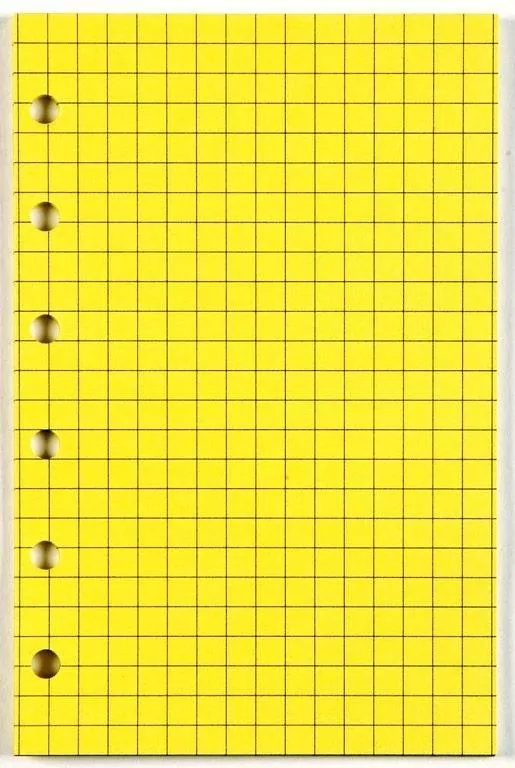 Wkład do organizera A5/kratka żółta ANTRA - tantis.pl