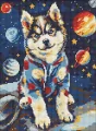 Diamentowa mozaika - Kosmiczny husky 30x40cm - tantis.pl