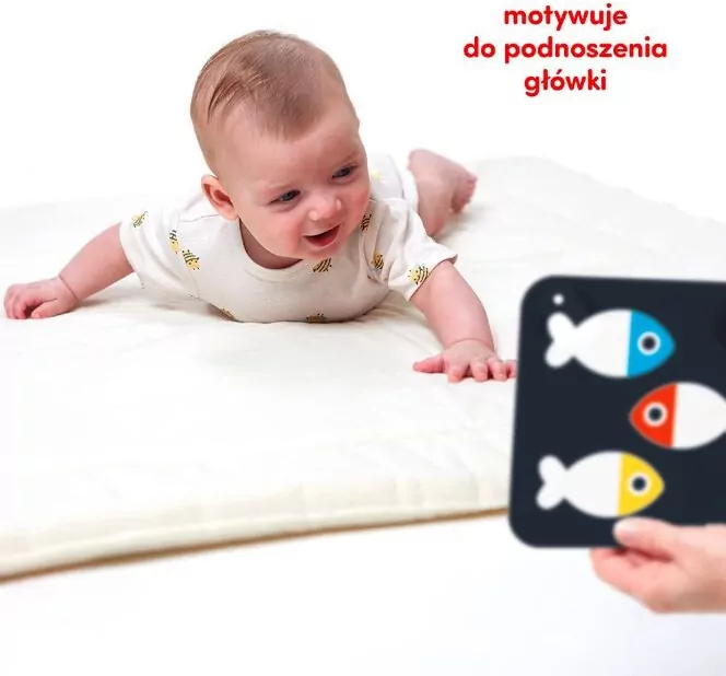 CzuCzu. Duże karty kontrastowe. 0+, 3+ - tantis.pl