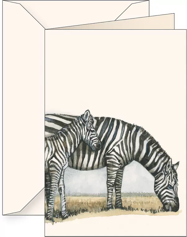 Karnet B6 + koperta 7505 Zebra - tantis.pl
