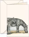 Karnet B6 + koperta 7505 Zebra - tantis.pl