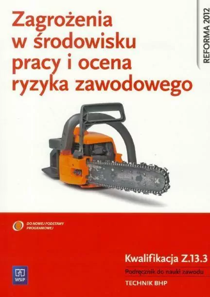 Zagrożenia w środowisku pracy i ocena ryzyka zawodowego. Kwalifikacja Z.13.3 - tantis.pl