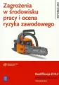 Zagrożenia w środowisku pracy i ocena ryzyka zawodowego. Kwalifikacja Z.13.3 - tantis.pl