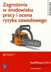 Zagrożenia w środowisku pracy i ocena ryzyka zawodowego. Kwalifikacja Z.13.3