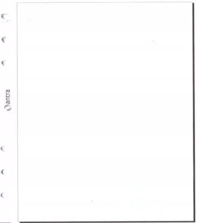 Wkład do organizera ST/czysta biała ANTRA - tantis.pl