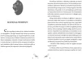 King Kong - tantis.pl