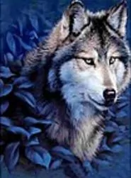 Mozaika diamentowa wilk 30x40cm - tantis.pl
