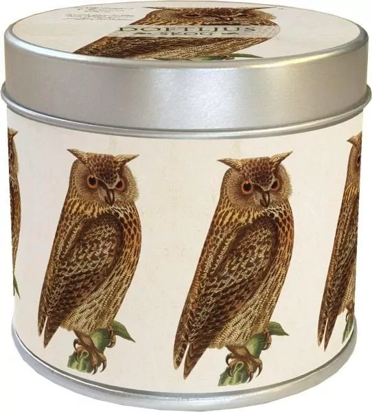 Zapachowa świeczka sowa - zapach leśny - tantis.pl