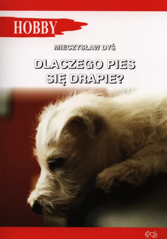 Dlaczego pies się drapie? - tantis.pl