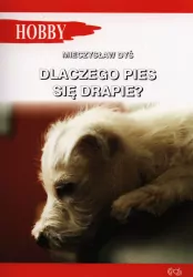 Dlaczego pies się drapie?