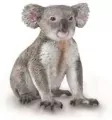 Miś koala - tantis.pl