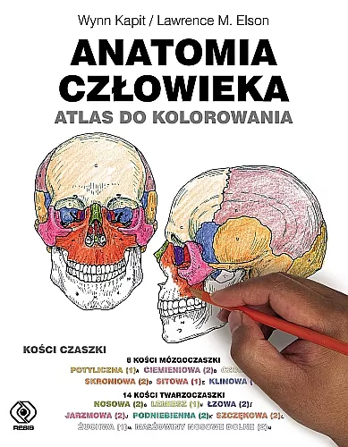 Anatomia człowieka. Atlas do kolorowania - tantis.pl